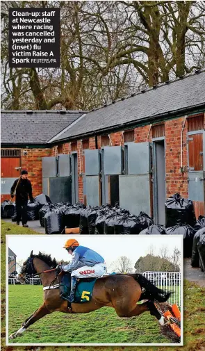  ?? REUTERS/PA ?? Clean-up: staff at Newcastle where racing was cancelled yesterday and (inset) flu victim Raise A Spark