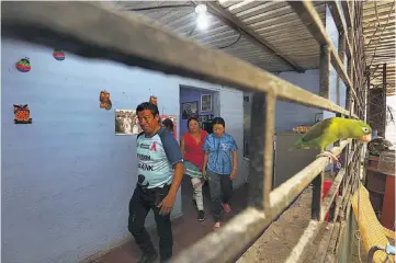  ?? ?? 1 3 2 1 Pide libertad.
Don Amílcar se gana la vida vendiendo dulces y maní en los buses de Ilopango. Su hijo estudiaba noveno grado.
2 En casa. Irma Molina, junto a sus padres, en el hogar donde también vive Amílcar. Viven en una zona rural de Ilopango.
3 Recuerdos. La familia de Amílcar muestra algunas fotos y trofeos que han ganado sus hijos. Todos aman el deporte.