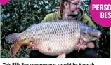  ??  ?? This 51lb 8oz common was caught by Hannah Kingston from Birch, at Old Mill Lakes in Lincolnshi­re. It fell to a Sticky Krill wafter hookbait.