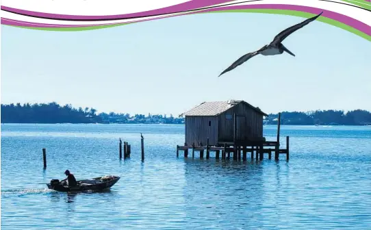  ?? PHOTOS: FLORIDA RAMBLER/COURTESY ?? The iconic stilt house of Cortez is part of the ambience of the tiny fishing village on Florida’s Gulf Coast.