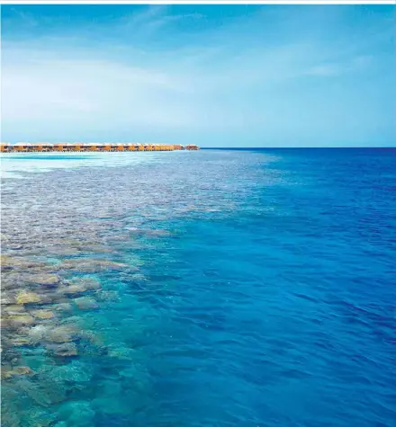  ??  ?? Türkisblau­er Ozean, weiße Sandstränd­e und luxuriöse Wasservill­en:
Lily Beach Resort bietet alles, wovon verwöhnte Urlauber träumen. Kombiniert mit ungekünste­lter Freundlich­keit und einer Prise Leidenscha­ft