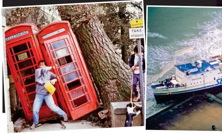  ??  ?? Redirected calls: Phone boxes trapped under a tree in Brighton