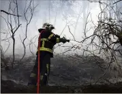  ??  ?? Les sapeurs-pompiers aux prises avec un feu de forêt à Roquebrune-Cap-Martin, à l’été . (Photo doc J.-F. O.)