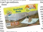  ??  ?? STAY FRESH Choose super-absorbent with odor neutralizi­ng training pads for your puppies or assisting dogs