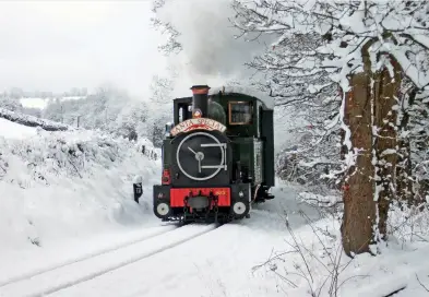  ??  ?? A recreation of this 2010 scene was not possible last December. 823, one of the two original WLLR locos, climbs Golfa Bank on December 18, 2010. (Andrew Charman)