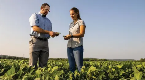  ?? (Special to The Commercial/University of Arkansas System Division of Agricultur­e) ?? Professor of soil testing Trent Roberts (left) examines soybean leaves in a field with doctoral student Carrie Ortel in this file photo from 2021. Roberts and Ortel worked with a team of Arkansas researcher­s to define new recommenda­tions for in-season soybean tissue sampling, published in October 2023.