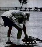  ?? ?? ABOVE LEFT: A guard stands watch over Robert Mugabe's coffin. ABOVE RIGHT: Irénée du Pont pats an iguana on his Cuban estate.