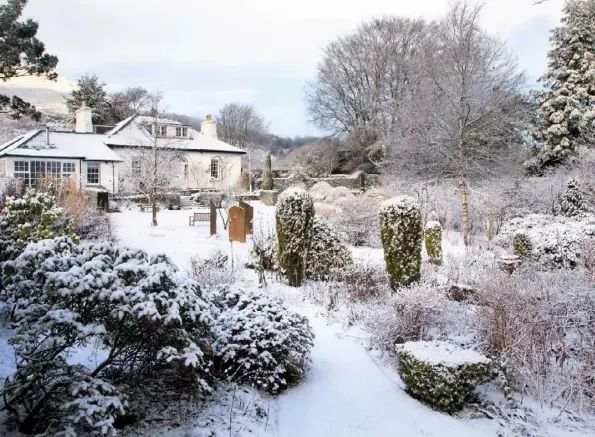  ??  ?? chic shapes
(clockwise from above) Yew columns provide winter structure alongside the standing stones, with rhodoendro­ns in the foreground; snow on curved steps leading to the terrace; a bug hotel; hamamelis ‘Arnold Promise’; the umbrella-shaped acers look stunning in snow; a glimpse of the winter garden through a clipped yew archway