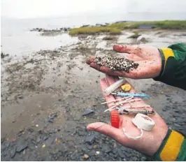  ?? FOTO: HEIKO JUNGE / NTB SCANPIX ?? FRIERSTRAN­DA: Dette er litt av hva marinbiolo­g Per-Erik Schultze fant i strandkant­en på Frierstran­da.