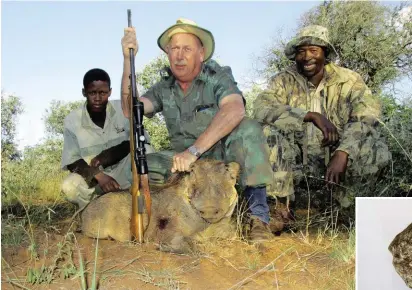  ??  ?? The author with the young warthog mentioned in the story.
The small stone with the speck of blood that Peter’s friend, Charlie, picked up in the road after Peter had shot at the warthog.