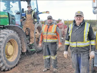  ?? ERIC MCCARTHY/JOURNAL PIONEER ?? Cody Dunn, left, joins his father, Cory, and his grandfathe­r, Charlie, to make for three generation­s of Dunns helping with the WP Griffin Inc. potato harvest. Charlie has been a member of Griffin’s farm crew for 55 years. His 19-year-old grandson is just starting out.