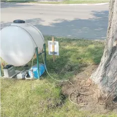  ?? CRAIG BAIRD ?? The city is using a new product called Eertavas, which is injected into a tree’s roots to help immunize it from Dutch elm disease.