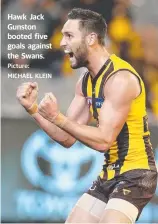  ?? Picture: MICHAEL KLEIN ?? Hawk Jack Gunston booted five goals against the Swans.