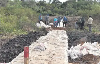  ??  ?? Obreros trabajan en la colocación de geobolsas en la cuenca del río Salado.