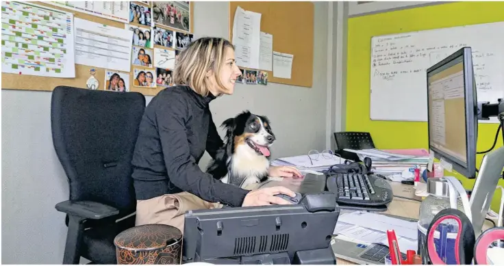  ?? Aurélien Delavaud ?? Quand elle en a envie et comme ses collègues, Mélanie Duflos peut maintenant venir travailler à la mairie de Saint-Pierre-lès-Elbeuf avec sa chienne Taïga.