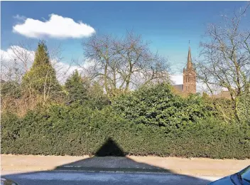  ??  ?? Blick von der Raedtstraß­e auf die Gartenseit­e der Grundstück­e der Kuhstraße. Nach den Plänen der Verwaltung soll hier in das Grün eine Schneise geschlagen werden, um dort öffentlich­e Parkplätze anzulegen.