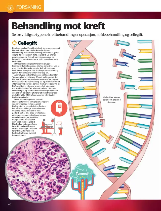  ??  ?? Patologene undersøker bilder som disse for å diagnostis­ere kreft. Dette lungevevet skulle vært fullt av hull. Cellegifte­n skader celler som prøver ådele seg.Tumour