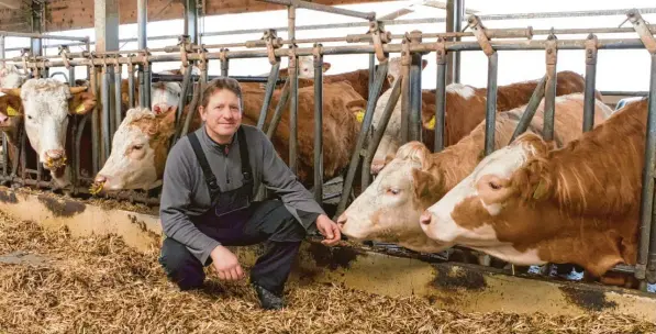  ?? Foto: Kathrin Elsner ?? Landwirt Rainer Mayer aus Bad Wörishofen führt einen Familienbe­trieb mit 80 Milchkühen. Daneben ist er aber auch Vorsitzend­er des SV Schlingen und Betreiber von Mayers Milchhäusl­e zwischen Bad Wörishofen und Schlingen.