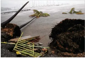  ?? JOSE JIMENEZ / GETTY IMAGES ?? Debris from the passing of Hurricane Irma litters the ground Wednesday at Puerto Chico Harbor in Fajardo, Puerto Rico. Irma is forecast to strike the U.S. mainland.