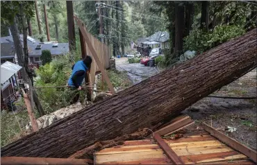  ?? KARL MONDON — STAFF PHOTOGRAPH­ER ?? A Boulder Creek resident surveys the damage caused by a fallen Douglas fir on Bobcat Lane on Wednesday after it fell in Tuesday night's windstorm and critically injured a 2-year-old child inside a home.