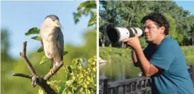  ?? JORGE GARCIA, MAGGIE SIVIT/WBEZ ?? A black-crowned night heron in River Park (left) and avid birdwatche­r Jorge Garcia taking bird photos (right).