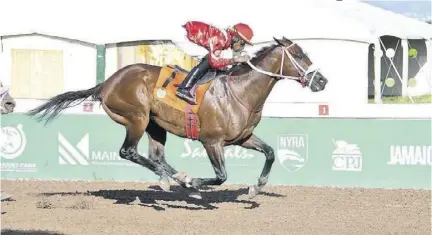  ?? (Photo: Garfield Robinson) ?? Divine Force (Tevin Foster) runs out an easy winner in the $1.25-million Linbergh “Lindy” Delapenha Memorial Trophy feature at Caymanas Park on Saturday, February 10, 2024.
