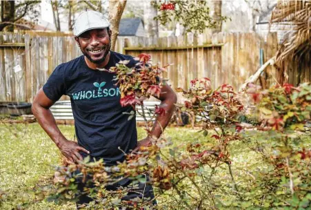  ?? Karen Warren / Staff photograph­er ?? Marcus Bridgewate­r, also known as Garden Marcus, works with his rose bushes, which are budding out after the winter blast, in his backyard in Spring. Marcus’ garden videos, filled with positivity and good vibes, have gained him a TikTok following.