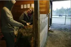  ??  ?? Robel left, helps Hilarie Cash load hay to feed the horses at the Rise Up Ranch. Ms. Cash is a psychologi­st, chief clinical officer and a co-founder at ReSTART Life.