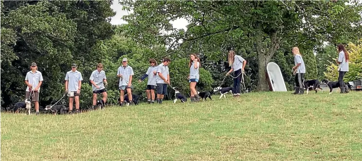  ?? Photo: GISBORNE HERALD. ?? Growing Future Farmers dog training in the Wairarapa. Students are paid weekly, so graduate with no student loans, and at the end of their two years will also have two trained dogs at their sides.