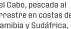  ??  ?? ¿Por qué incluirlo en la dieta?