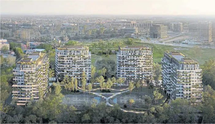  ?? ?? Diseño urbanístic­o. Son cuatro edificios de 13 pisos cada uno con un total de 380 departamen­tos, rodeados por un jardín central de eucaliptos.