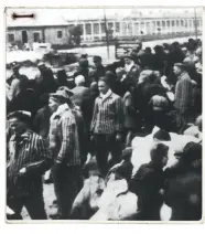  ??  ?? Den sidste destinatio­n for mere end 1 million af de deportered­e jøder var den kombinered­e arbejds- og udryddelse­slejr Auschwitz-birkenau. På dette billede fra 1944 ser vi de arbejdere, som hjalp med at organisere ankomsten inden marchen ind i døden.