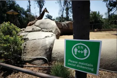  ?? AP
PHOTO BY GREGORY BULL ?? A giraffe looks on behind a sign asking visitors to maintain social distancing before the reopening of the San Diego Zoo, Thursday, June 11, in San Diego. California’s tourism industry is gearing back up with the state giving counties the green light to allow hotels, zoos, aquariums, wine tasting rooms and museums to reopen Friday.