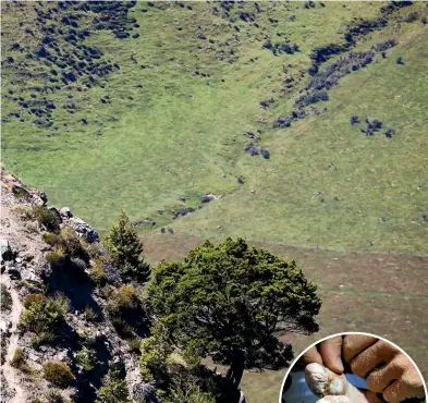  ??  ?? Above: Dave Viitakanga­s above the Nokomai Valley where he’d later dislocate his kneecap. Right: The relief at finally beating The Revenant was clear as Ian Evans finished the 200km race – especially considerin­g the state of his feet, inset right, at the end of his third lap, after 150km.