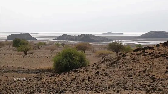  ??  ?? LAKE NATRON