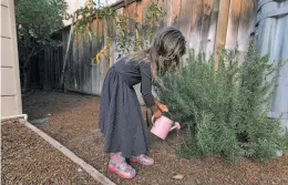  ??  ?? One of Stecher’s daughters waters a plant in the backyard of their Menlo Park home. The children are allowed almost no screen time.