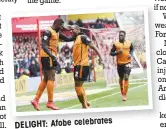  ??  ?? DELIGHT: Afobe celebrates