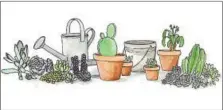  ??  ?? Cacti Garden by Katelyn Poe