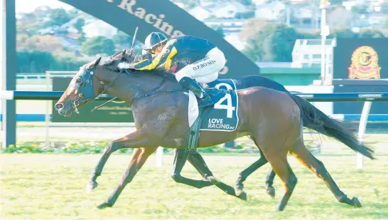  ?? Photo / Trish Dunell ?? The one horse the heavy track won’t bother is Midnight Runner in race 3, the $35,000 Auckland Co-Op Taxis 1200m.