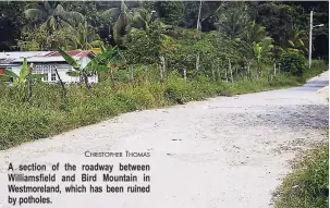  ?? CHRISTOPHE­R THOMAS ?? A section of the roadway between Williamsfi­eld and Bird Mountain in Westmorela­nd, which has been ruined by potholes.
