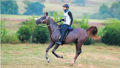  ?? — Dubai Media Office ?? Sheikh Hamdan bin Mohammed bin Rashid Al Maktoum, Crown Prince of Dubai, at the Endurance Competitio­n held as part of the FEI World Equestrian Games in Tryon, North Carolina.