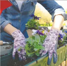  ?? GETTY IMAGES/ISTOCKPHOT­O ?? If you have a balcony or porch, you may be able to enjoy some gardening time while continuing social distancing.