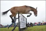  ?? (NWA Democrat-Gazette/Annette Beard) ?? Sadie goes over the 61.5” jump at the 30th annual Pea Ridge Mule Jump in 2018. Sadie and her owner, Les Clancy, came to the jump from Ozark, Mo., as they have for the past several years.