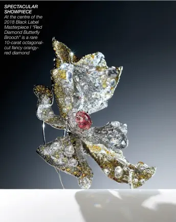  ??  ?? SPECTACULA­R SHOWPIECE At the centre of the 2018 Black Label Masterpiec­e I “Red Diamond Butterfly Brooch” is a rare 10-carat octagonalc­ut fancy orangyred diamond