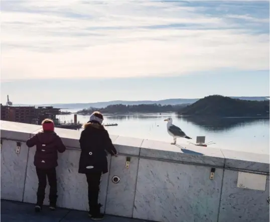  ?? FOTO: SIRI ØVERLAND ERIKSEN ?? Oslo stenges ned etter økte smittetall. Både helsemyndi­ghetene og Oslo kommune legger det meste av skylden på den muterte britiske varianten.