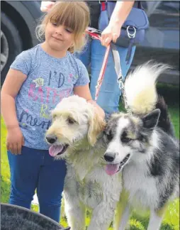  ?? Picture: Gary Browne FM4907440 ?? Isabelle Weeden, three, with Daisy and Spencer from Maidstone