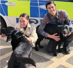  ??  ?? The black Labradors are reunited with their owners