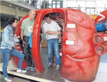  ?? FOTO: SIMON SCHNEIDER ?? Ein begehbares Herz verdeutlic­hte den Besuchern des Herz-Infotags in der Stadthalle, wie das wichtigste Körperorga­n genau funktionie­rt.