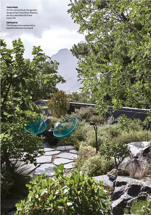  ??  ?? THIS PAGE
On the second level, the garden, designed by Franchesca Watson, attracts abundant bird and insect life
OPPOSITE
The dining room opens onto a beautiful planted courtyard