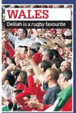  ??  ?? WALES Delilah is a rugby favourite